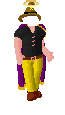 Player avatar