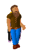 Player avatar
