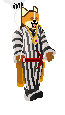 Player avatar