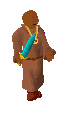 Player avatar