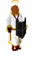 Player avatar