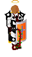 Player avatar
