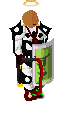 Player avatar
