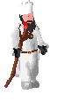 Player avatar