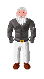 Player avatar
