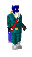 Player avatar