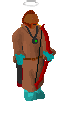Player avatar