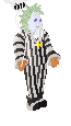 Player avatar