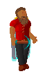 Player avatar