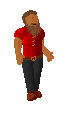 Player avatar