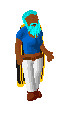 Player avatar